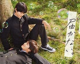 网站优化排名小知识